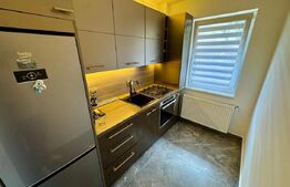 Apartament 3 camere, mobilat si utilat, parcare, parter inalt, zona Porii-Terra