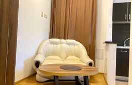 Apartament spatios 1 camera,  50mp, zona Spital Recuperare