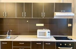 Apartament spatios 1 camera,  50mp, zona Spital Recuperare
