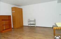 Vanzare apartament in imobil tip casa cu 1 camera, integral renovat