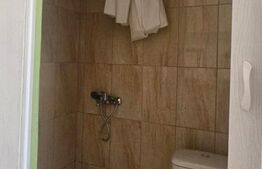 Garsoniera, renovata, cu baie , etaj 1 , Florilor