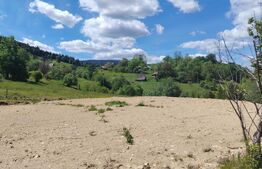 Teren cu panoramă, 1.000 mp, zona Rogojel 