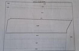 Cârțișoara: Teren de Vânzare, Ideal Cazări Pescari și Cabănuțe din Lemn