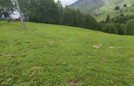 Construcție 95 mp + Teren 4.807 mp – Satul Peștera, Moieciu
