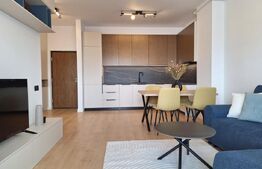 Apartament 2 camere, 45 mp, terasa 10 mp, zona Eroilor