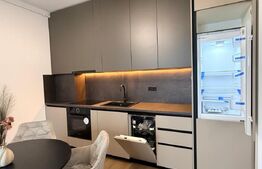 Apartament 2 camere, 45 mp, terasa 10 mp, zona Eroilor