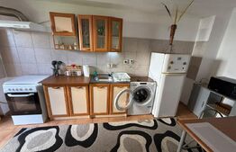 Apartament 1 cameră, 36 mp, pet friendly, zona Andrei Mureșanu
