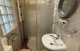 Apartament 1 cameră, 36 mp, pet friendly, zona Andrei Mureșanu
