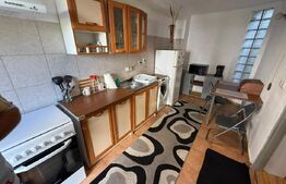 Apartament 1 cameră, 36 mp, pet friendly, zona Andrei Mureșanu