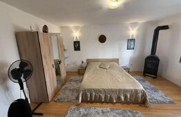 Apartament 1 cameră, 36 mp, pet friendly, zona Andrei Mureșanu