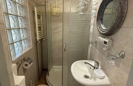 Apartament 1 cameră, 36 mp, pet friendly, zona Andrei Mureșanu