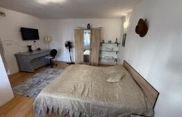 Apartament 1 cameră, 36 mp, pet friendly, zona Andrei Mureșanu