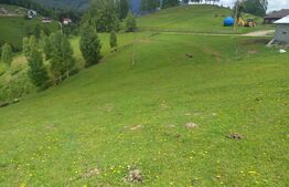 Teren cu fundație de cabană, intabulat, 1.093 mp – Satul Peștera, comuna Moieciu