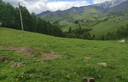 Teren cu fundație de cabană, intabulat, 1.093 mp – Satul Peștera, comuna Moieciu