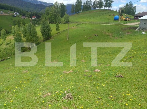 Casa de vânzare 1 camera Pestera - 200975CV | BLITZ Brașov | Poza10