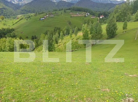 Casa de vânzare 1 camera Pestera - 200975CV | BLITZ Brașov | Poza11