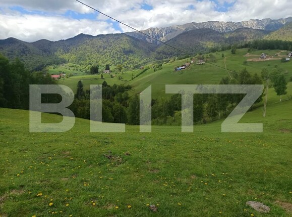 Casa de vânzare 1 camera Pestera - 200975CV | BLITZ Brașov | Poza14