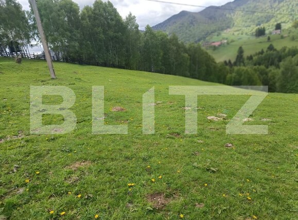 Casa de vânzare 1 camera Pestera - 200975CV | BLITZ Brașov | Poza15