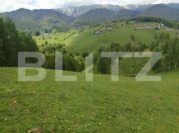 Casa de vânzare 1 camera Pestera - 200975CV | BLITZ Brașov | Poza7