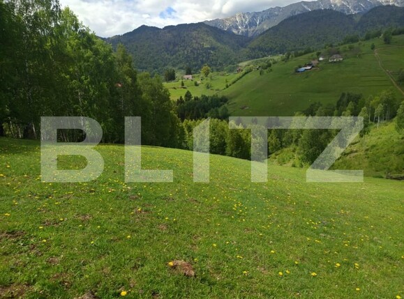 Casa de vânzare 1 camera Pestera - 200975CV | BLITZ Brașov | Poza12