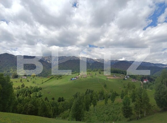 Casa de vânzare 1 camera Pestera - 200975CV | BLITZ Brașov | Poza5