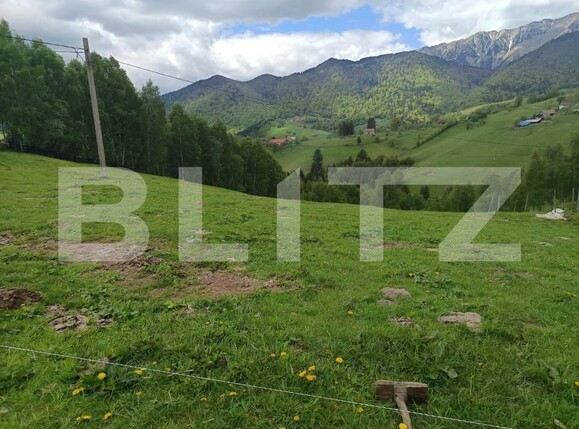 Casa de vânzare 1 camera Pestera - 200975CV | BLITZ Brașov | Poza16