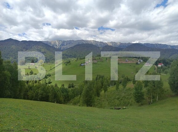 Casa de vânzare 1 camera Pestera - 200975CV | BLITZ Brașov | Poza9