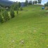 Casa de vânzare 1 camera Pestera - 200975CV - Poza 1 din 20 | BLITZ Brașov | Poza14