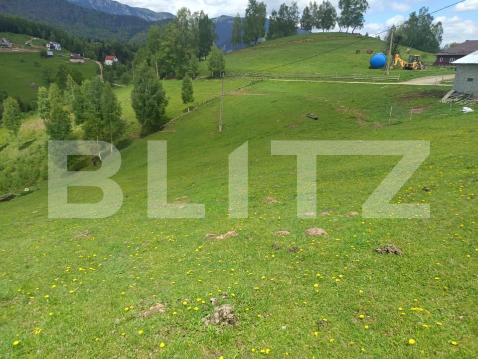 Casa de vânzare 1 camera Pestera - 200975CV | BLITZ Brașov | Poza10