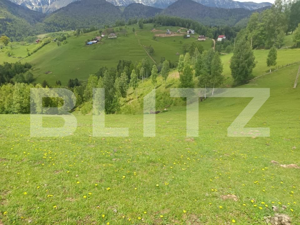 Casa de vânzare 1 camera Pestera - 200975CV | BLITZ Brașov | Poza11