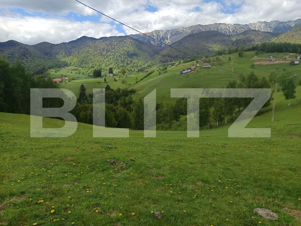 Casa de vânzare 1 camera Pestera - 200975CV | BLITZ Brașov | Poza14