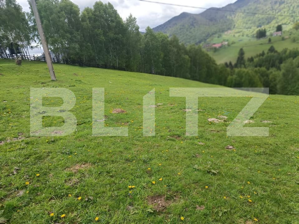 Casa de vânzare 1 camera Pestera - 200975CV | BLITZ Brașov | Poza15