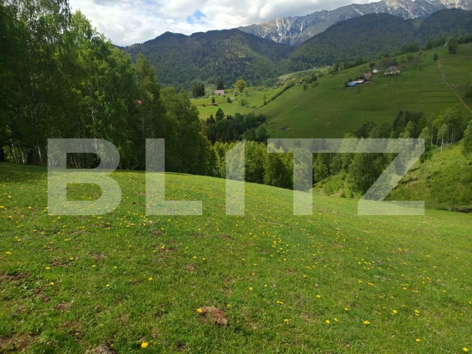 Casa de vânzare 1 camera Pestera - 200975CV | BLITZ Brașov | Poza12