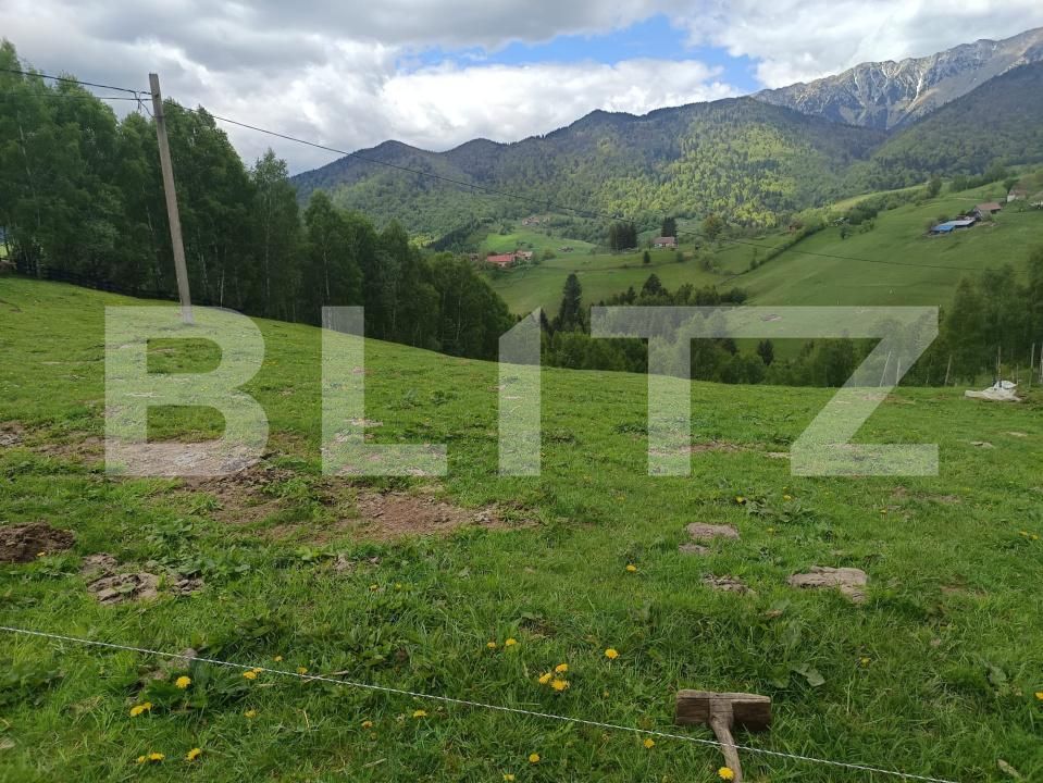 Casa de vânzare 1 camera Pestera - 200975CV | BLITZ Brașov | Poza16