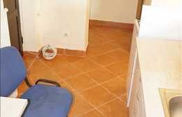 Spatiu de birou de inchiriat, 48 mp, zona Dunarii