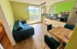 Apartament 2 camere, 40 mp, pet friendly, Beta Residence 