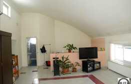 Casa pentru sediu de firma la artera principala in Marasti !