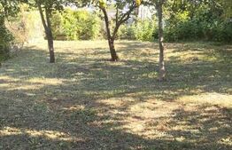 Casa 4 camere,  teren 500 m, pivnita, Bartomoleu 145m utili