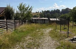 Pensiune de 11 camere, 650 mp, zona Sohodol-Bran