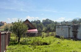 Pensiune de 11 camere, 650 mp, zona Sohodol-Bran