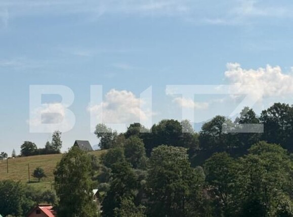 Casa de vânzare 11 camere Sohodol - 201145CV | BLITZ Brașov | Poza12
