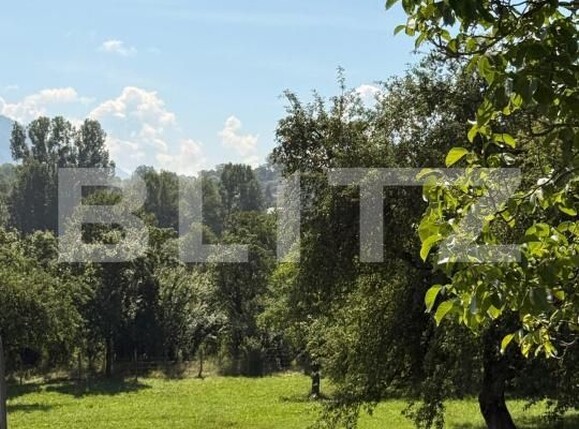 Casa de vânzare 11 camere Sohodol - 201145CV | BLITZ Brașov | Poza1
