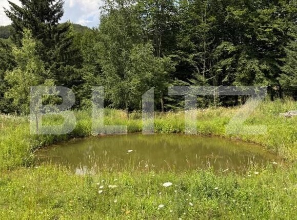 Casa de vânzare 4 camere Rasnov - 201147CV | BLITZ Brașov | Poza24