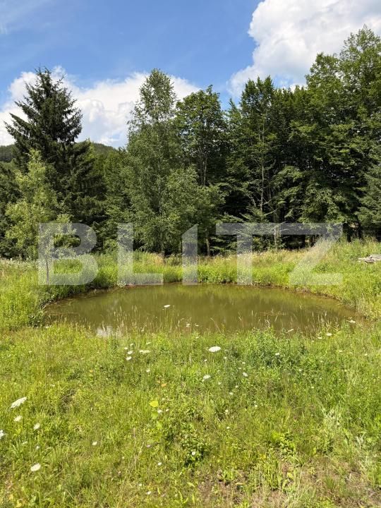 Casa de vânzare 4 camere Rasnov - 201147CV | BLITZ Brașov | Poza24