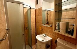 Apartament 2 camere, parter, 32 mp, Astra