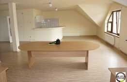 Spatiu de birou de inchiriat, zona strazii Traian, 120 mp