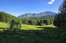 Teren intravilan, Trei Brazi, Predeal