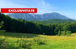 Teren de vânzare Zarnesti - 189690TV | BLITZ Brașov | Poza1