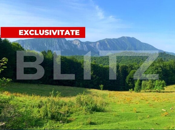 Teren de vânzare Predeal - 201250TV | BLITZ Brașov | Poza1