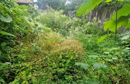 Casa cu teren 935 m , doua corpuri de case, Sacele -zona buna